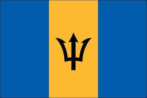Barbados 3x5 Flag