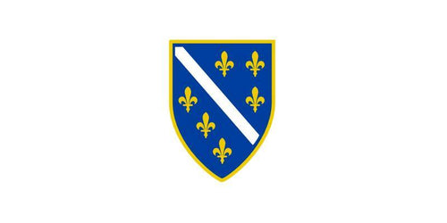 Bosnia 3X5 Flag