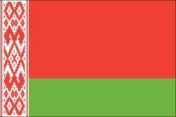 Belarus 3x5 Flag