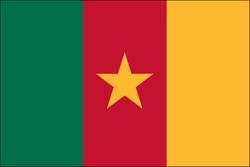 Cameroon 3x5 Flag