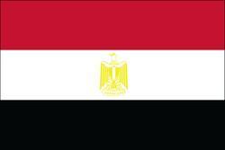 Egypt 3x5 Flag