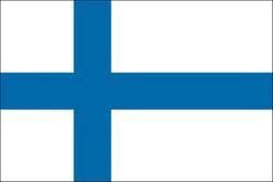 Finland 3x5 Flag