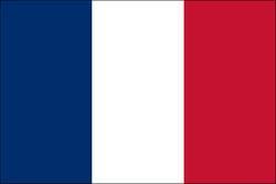 France 3x5 Flag