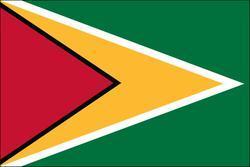 Guyana 3x5 Flag