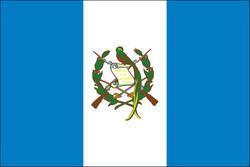 Guatemala 3x5 Flag