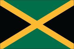 Jamaica 3x5 Flag