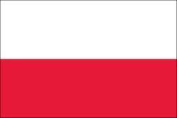 Poland 3x5 Flag