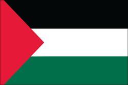 Palestine 3x5 Flag