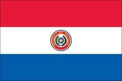 Paraguay 3x5 Flag