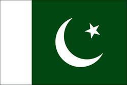 Pakistan 3x5 Flag