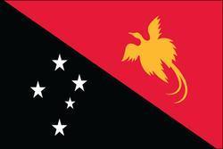 Papua New Guinea 3x5 Flag