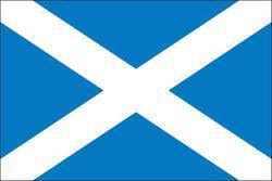 Scotland 3x5 Flag