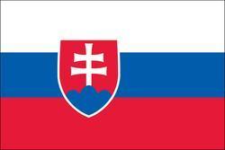 Slovakia 3x5 Flag