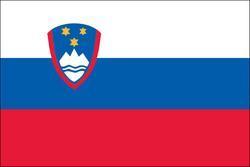 Slovenia 3x5 Flag