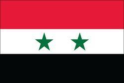Syria 3x5 Flag