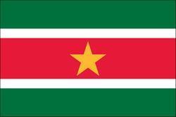 Surinam 3x5 Flag