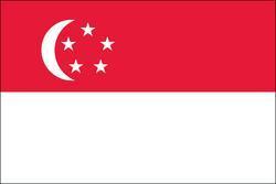 Singapore 3x5 Flag