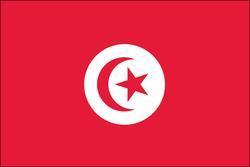 Tunisia 3x5 Flag