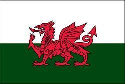 Wales 3x5 Flag