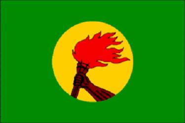 Zaire 3x5 Flag