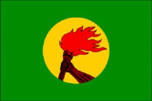 Zaire 3x5 Flag