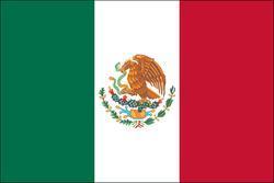Mexico 3x5 Flag