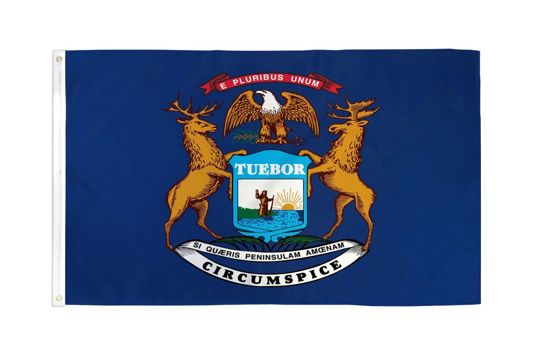 Michigan 3x5 Flag