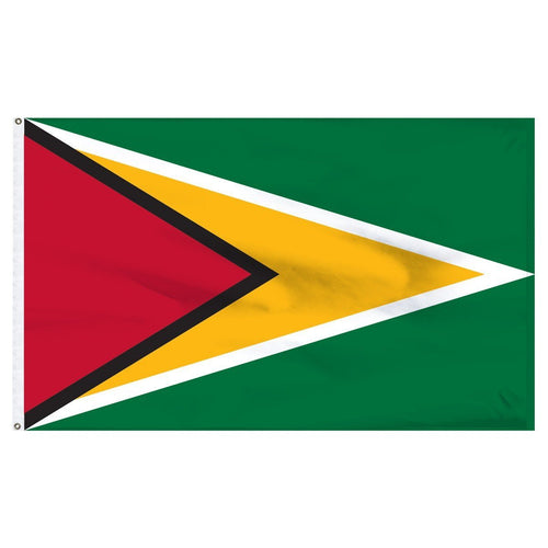 Guyana 2'x3' Flags