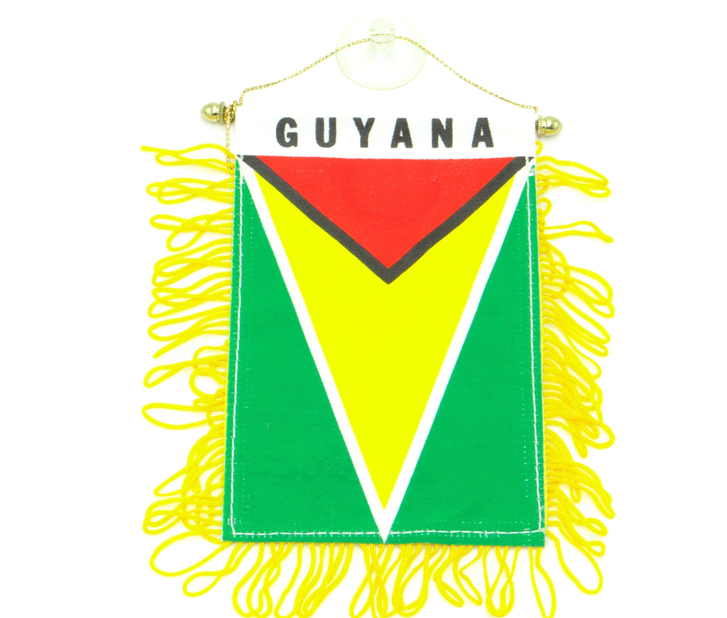 Guyana Mini Banner
