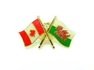 Wales Friendship Pin
