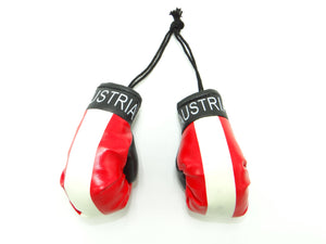 Austria Boxing Glove