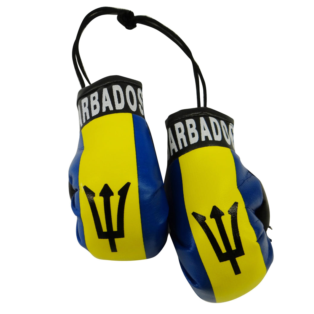 Barbados Boxing Glove
