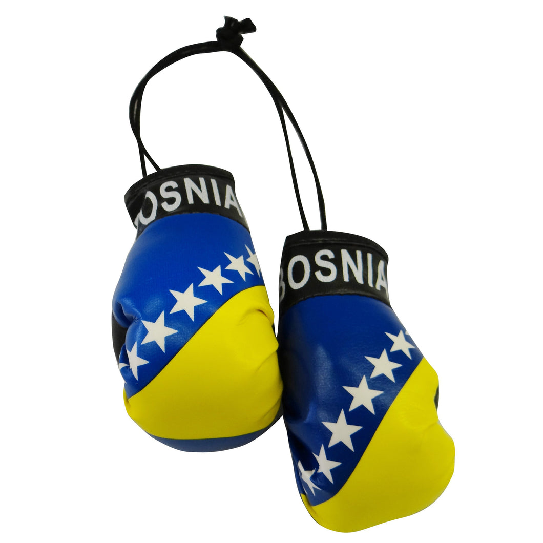 Bosnia Boxing Glove