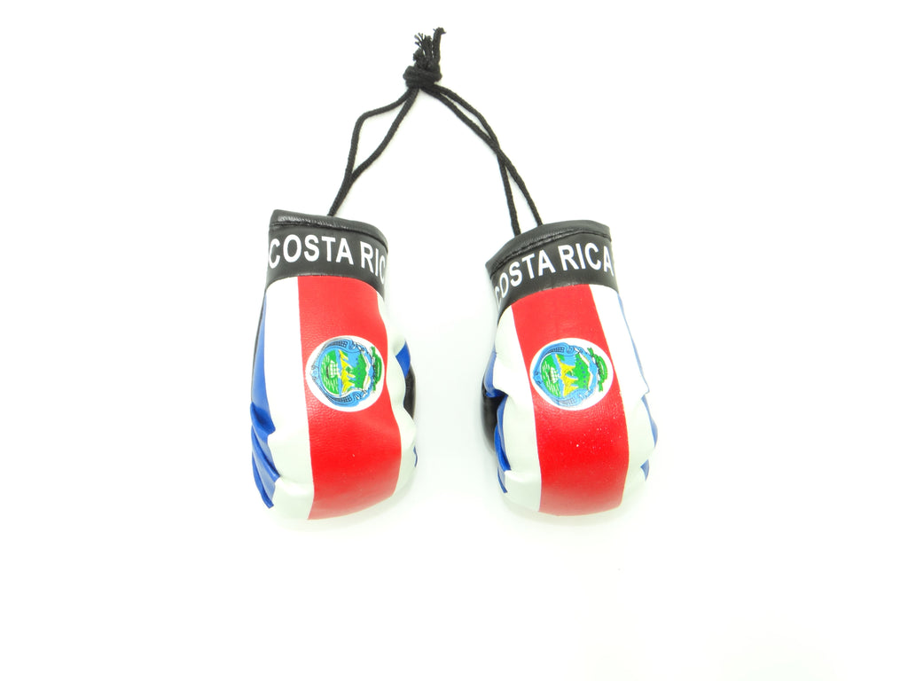 Costa Rica Boxing Glove
