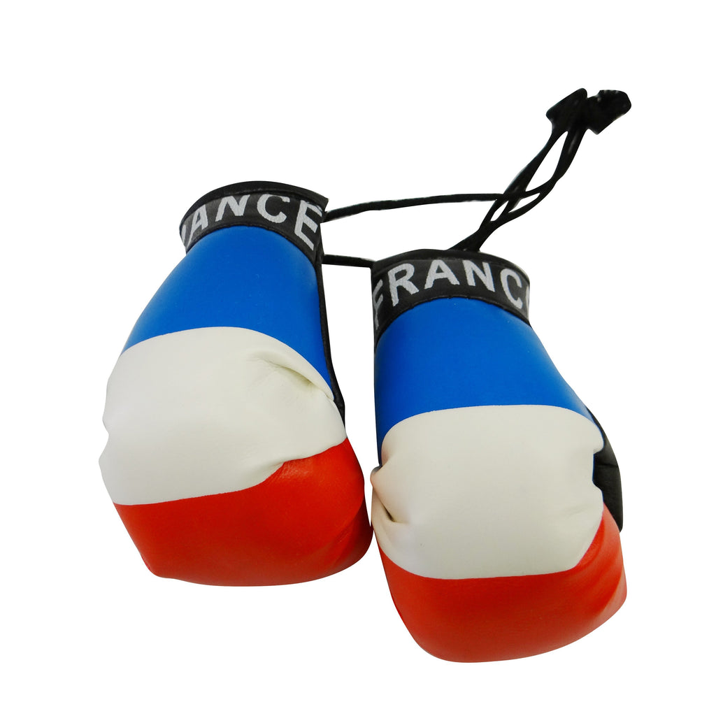 France Boxing Glove