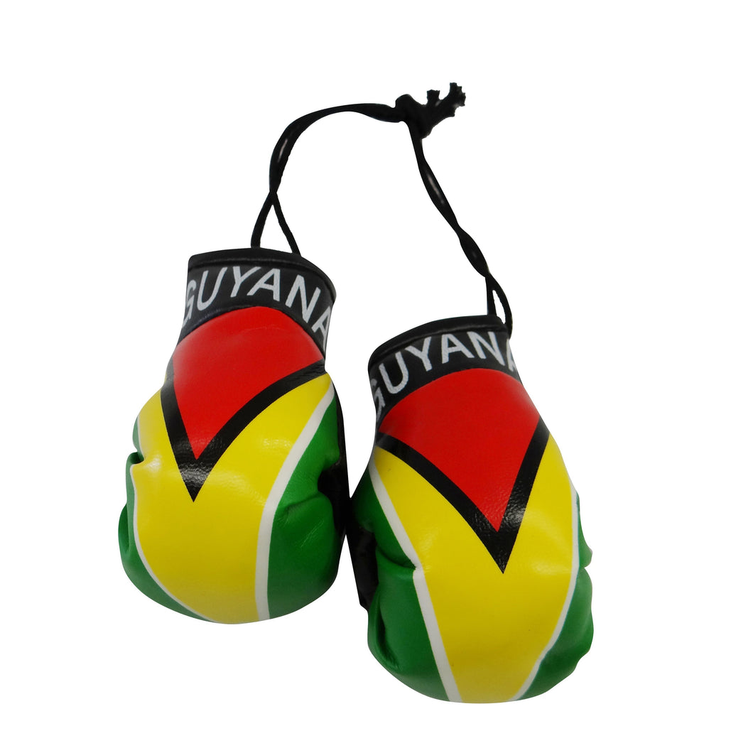 Guyana Boxing Glove
