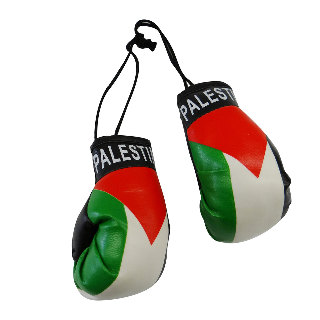 Palestine Boxing Glove