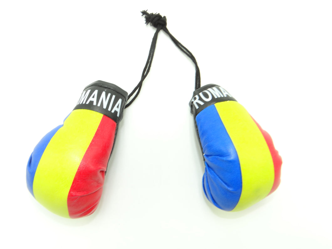Romania Boxing Glove
