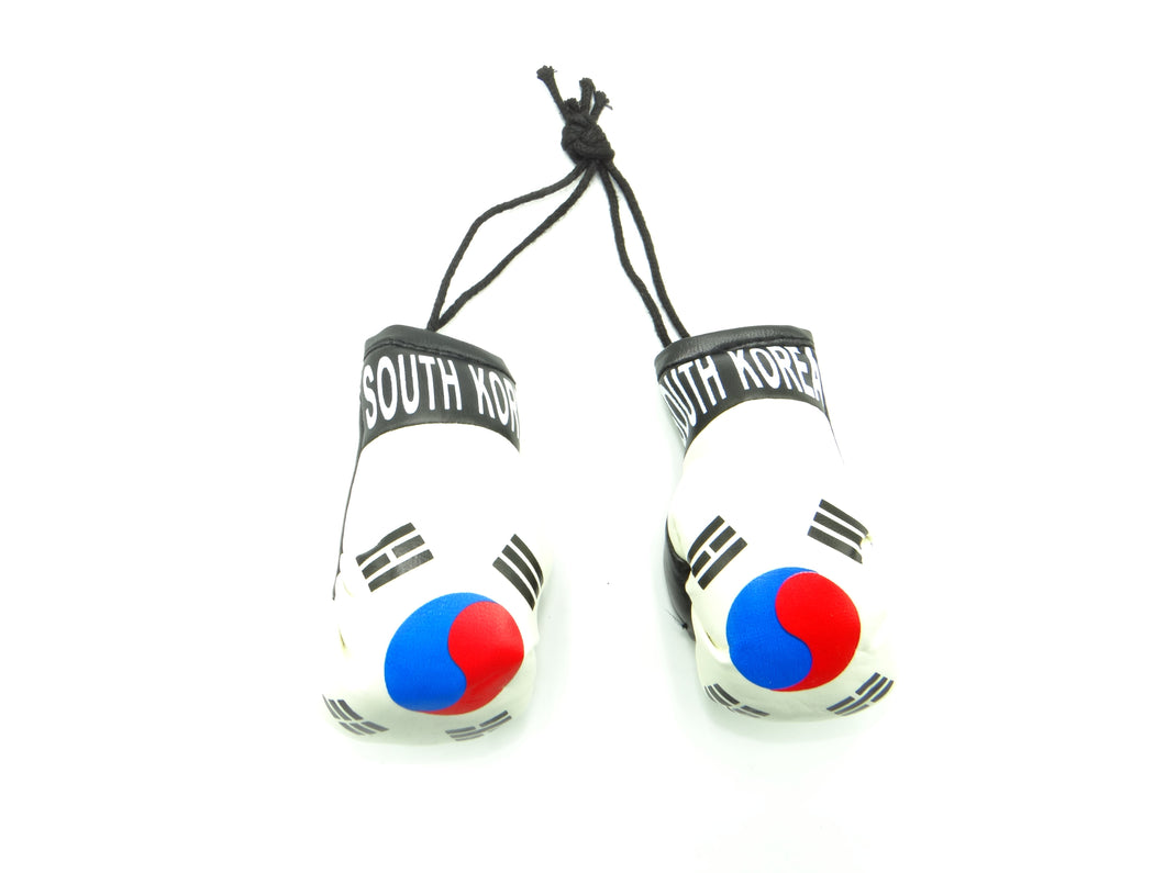 South Korea Boxing Glove