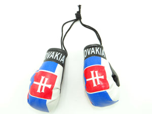 Slovakia Boxing Glove