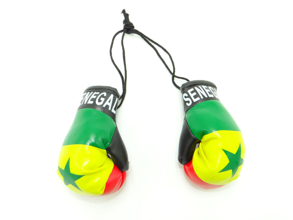 Senegal Boxing Glove