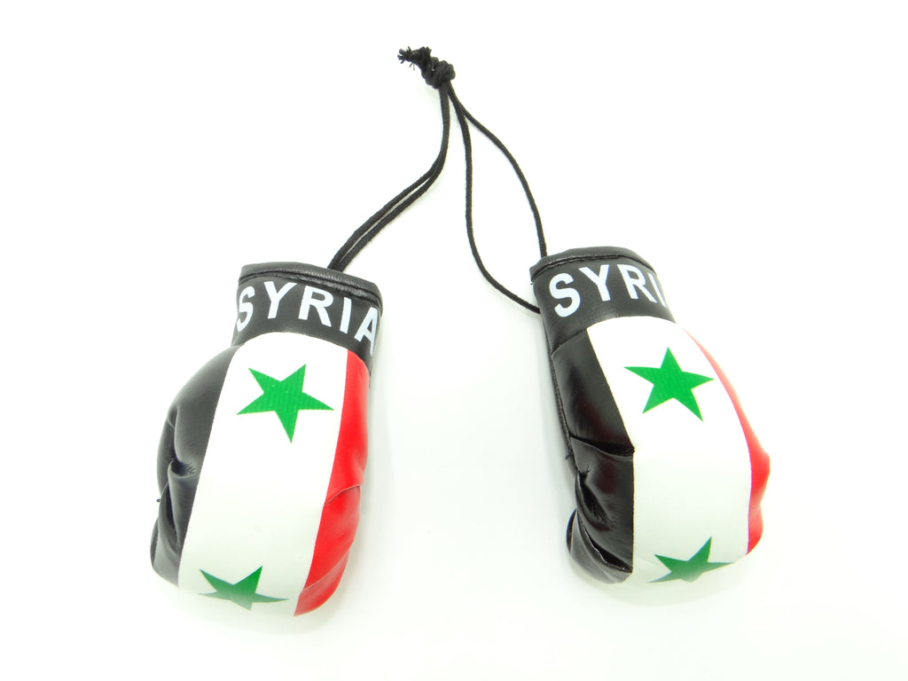Syria Boxing Glove