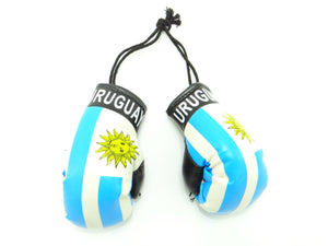 Uruguay Boxing Glove