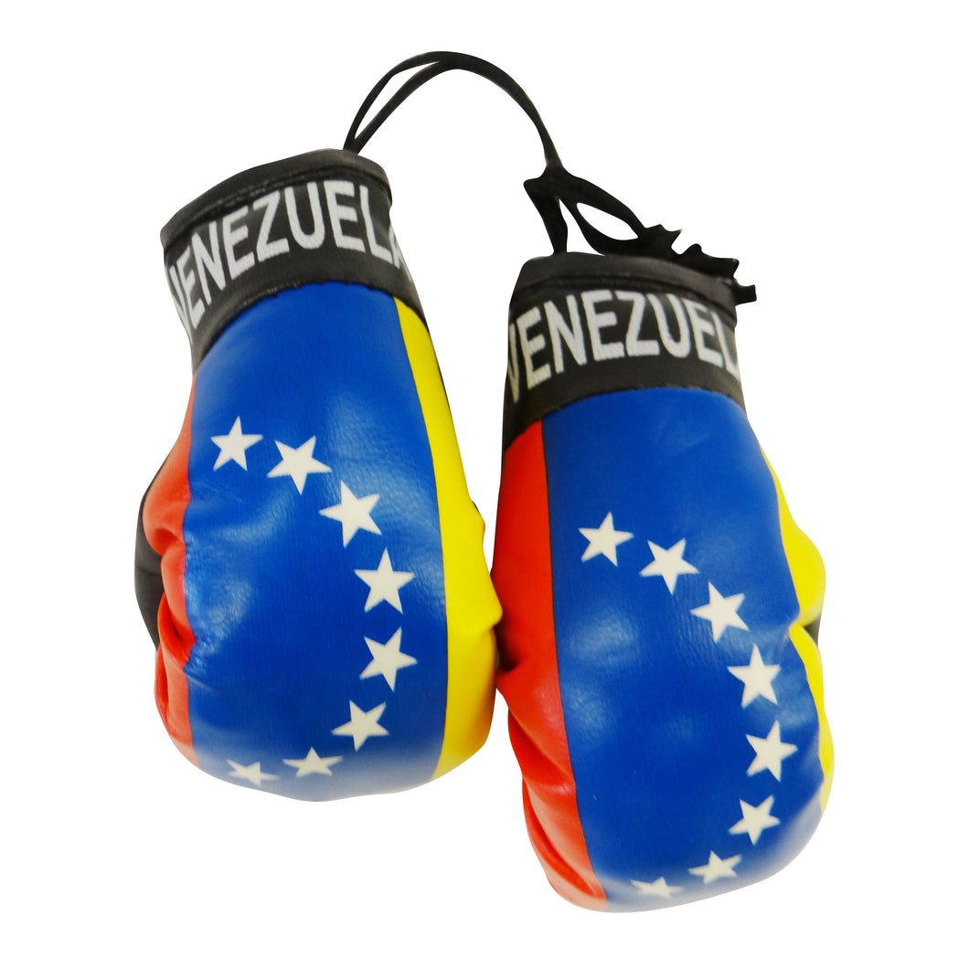Venezuela Boxing Glove