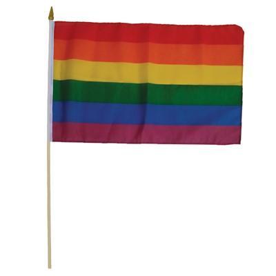 Rainbow 12X18 Flags